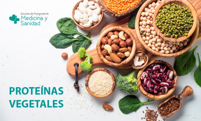 Tips for achieving a balanced diet with plant-based proteins